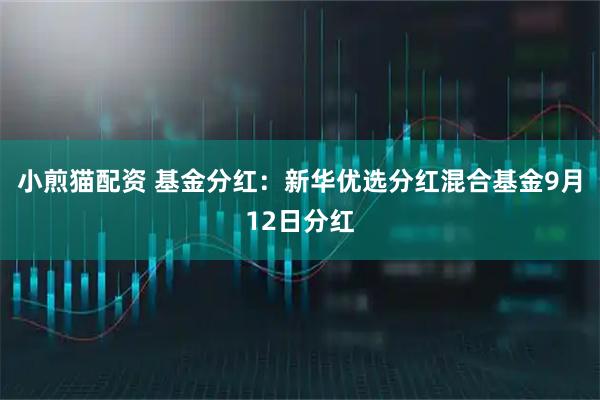 小煎猫配资 基金分红：新华优选分红混合基金9月12日分红