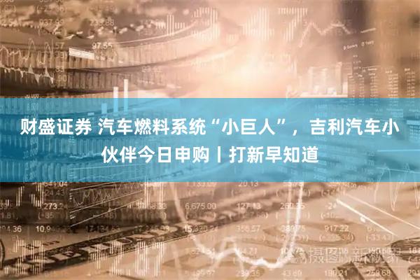 财盛证券 汽车燃料系统“小巨人”，吉利汽车小伙伴今日申购丨打新早知道
