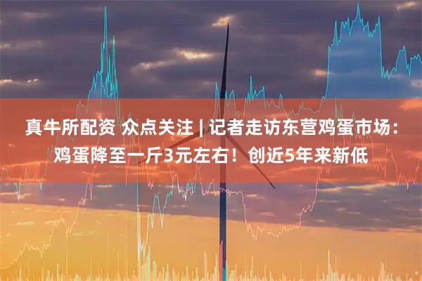 真牛所配资 众点关注 | 记者走访东营鸡蛋市场：鸡蛋降至一斤3元左右！创近5年来新低
