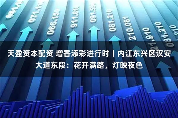 天盈资本配资 增香添彩进行时丨内江东兴区汉安大道东段：花开满路，灯映夜色