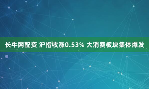 长牛网配资 沪指收涨0.53% 大消费板块集体爆发