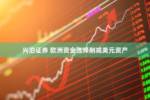 兴泊证券 欧洲资金选择削减美元资产